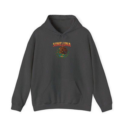 Echoes of México Retro Hoodie