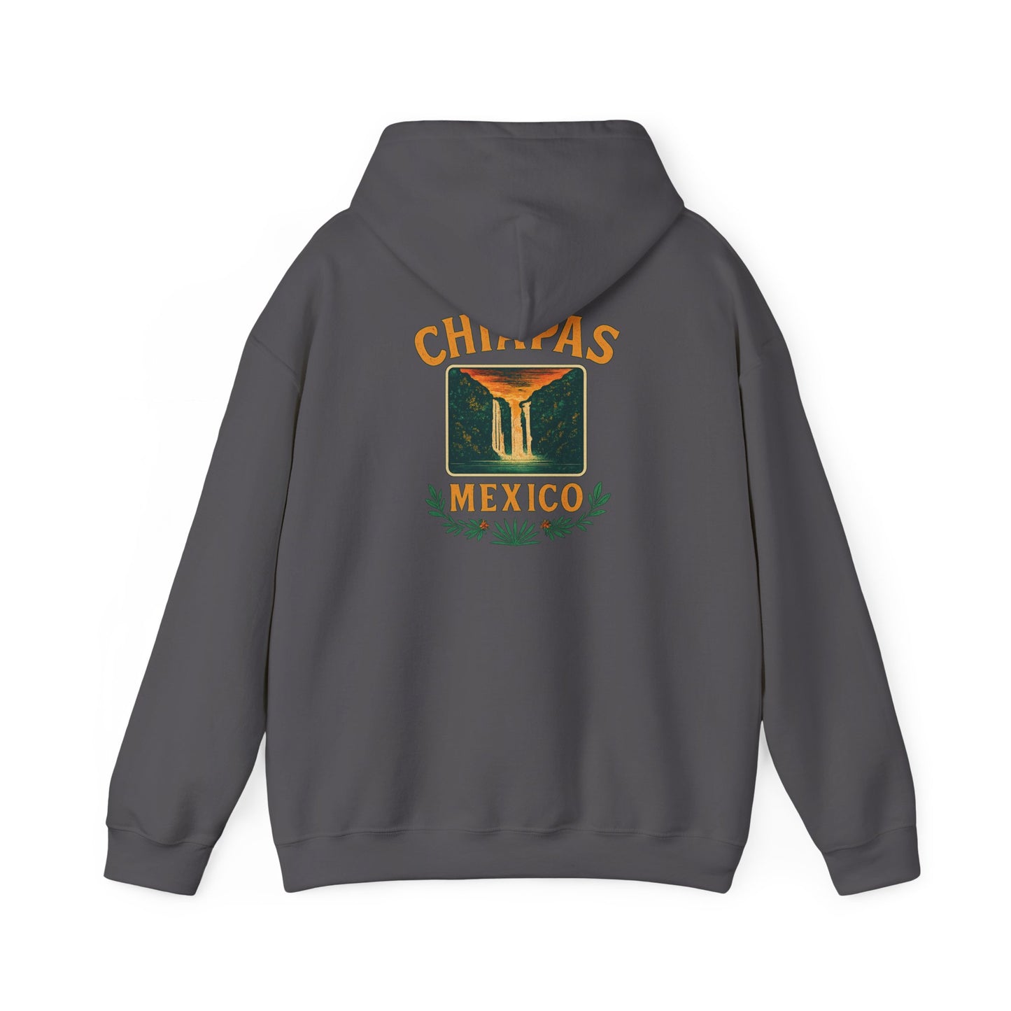 Retro Falls of Chiapas Hoodie