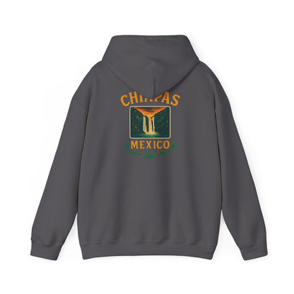 Retro Falls of Chiapas Hoodie