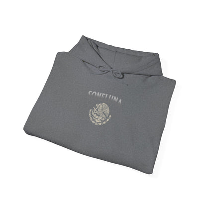 Echoes of México Hoodie
