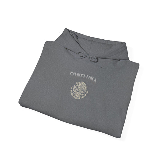 Echoes of México Hoodie