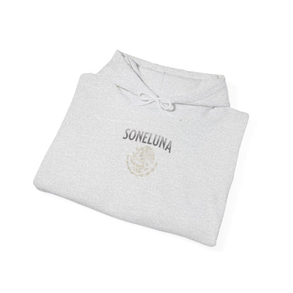 Echoes of México Hoodie