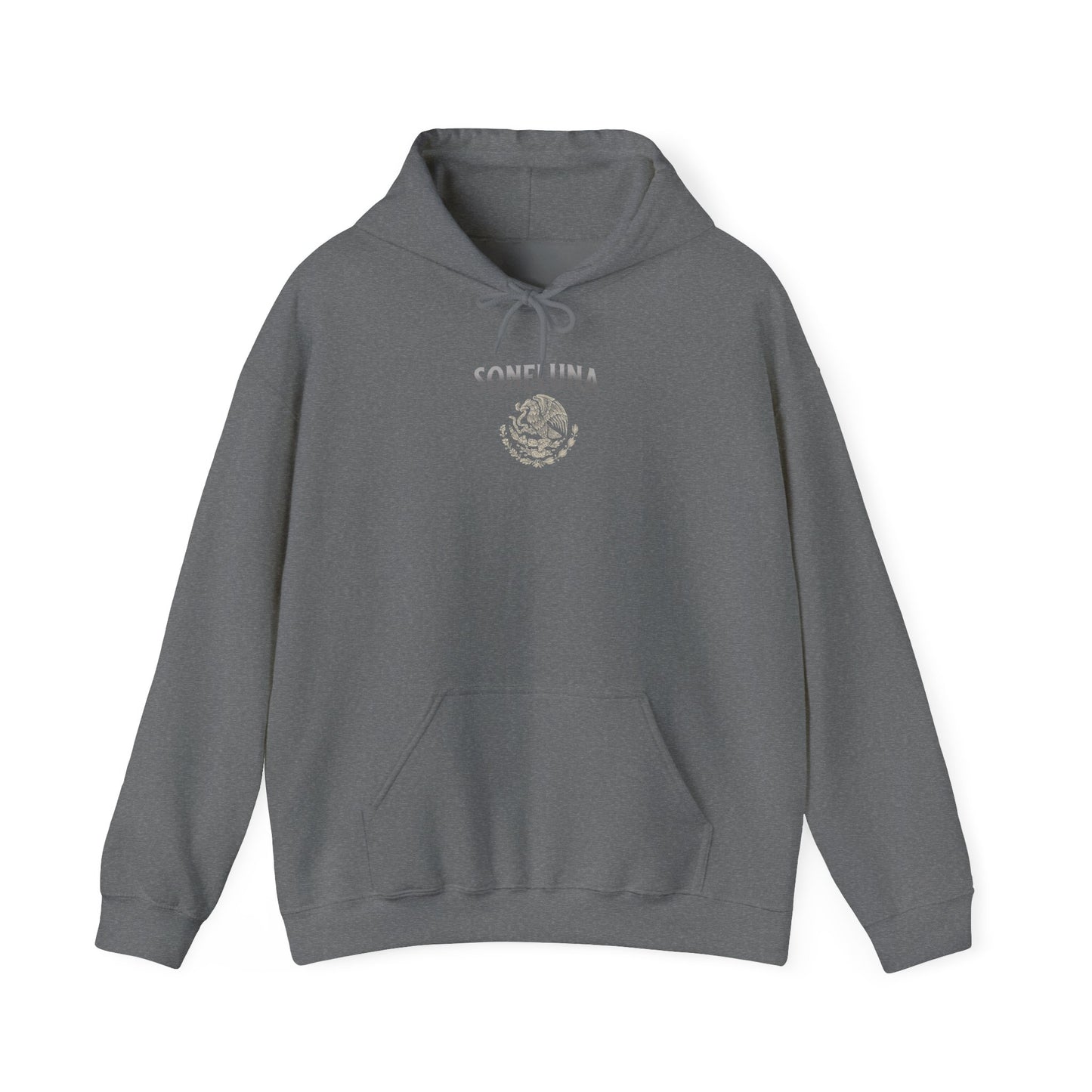 Echoes of México Hoodie