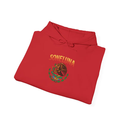Echoes of México Retro Hoodie