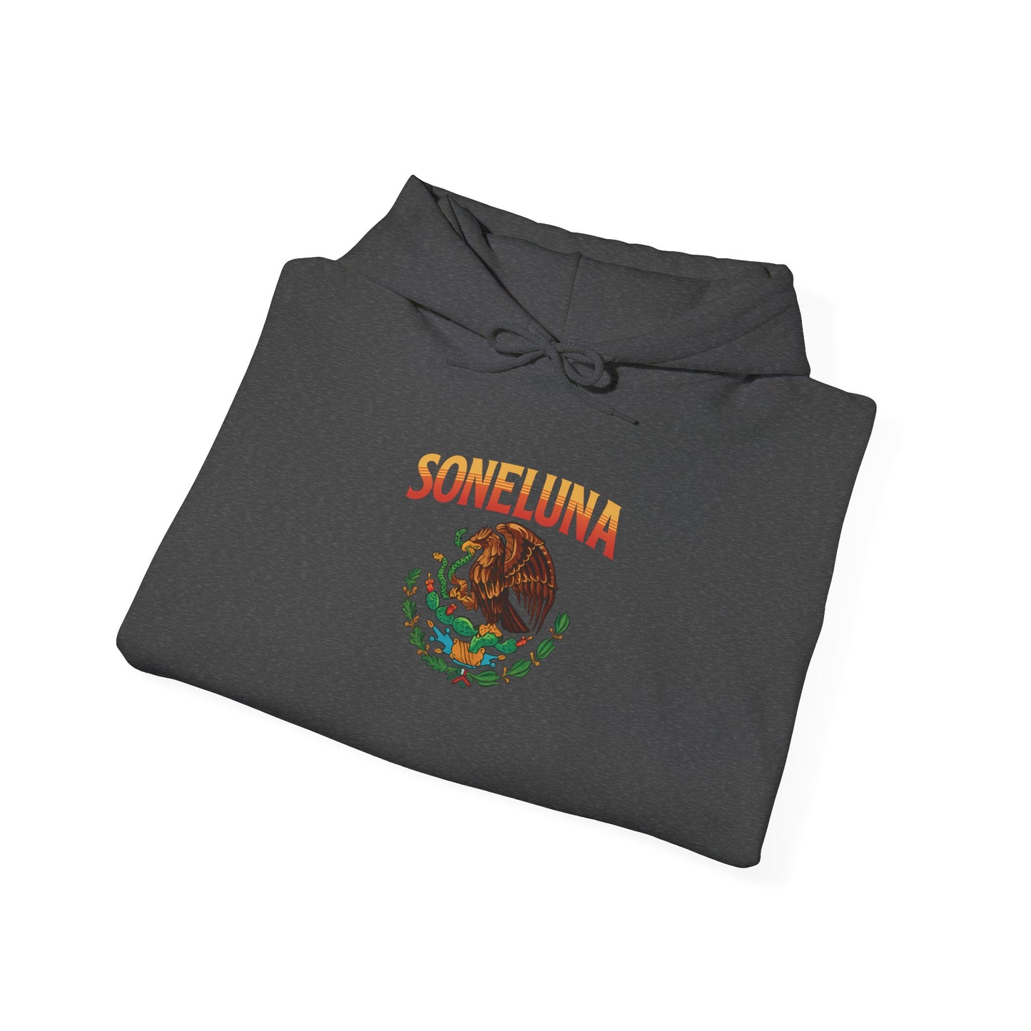 Echoes of México Retro Hoodie