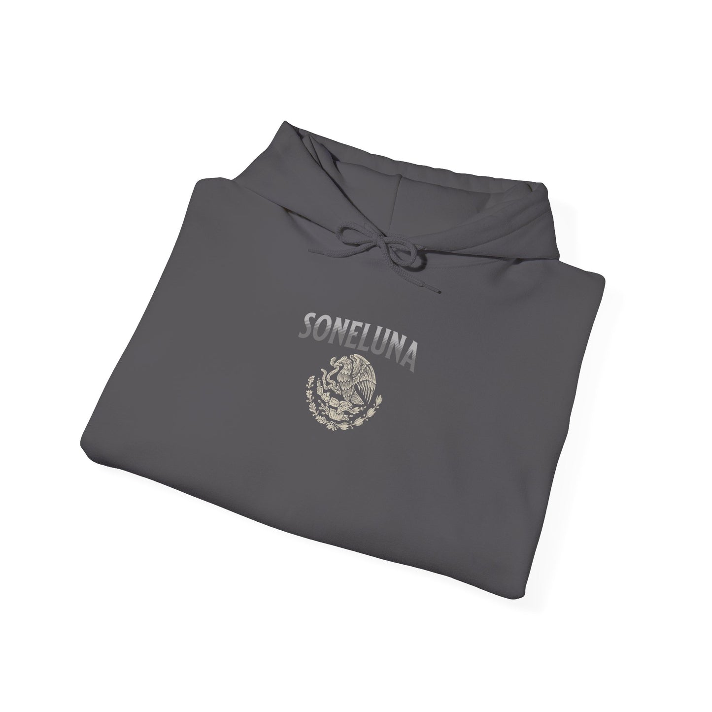 Echoes of México Hoodie