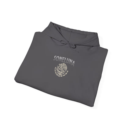 Echoes of México Hoodie