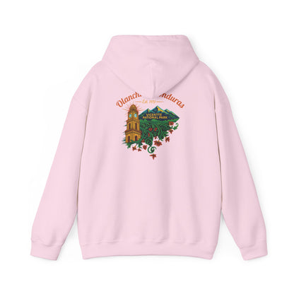Retro Pico Bonito Bound Hoodie