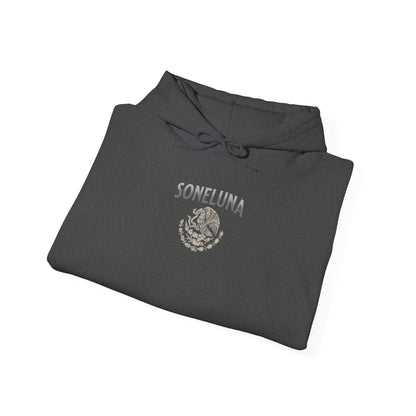 Echoes of México Hoodie