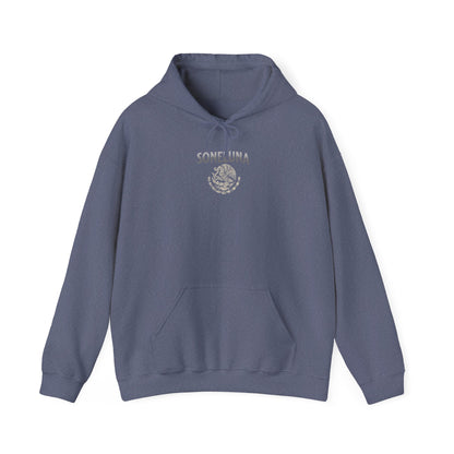 Echoes of México Hoodie