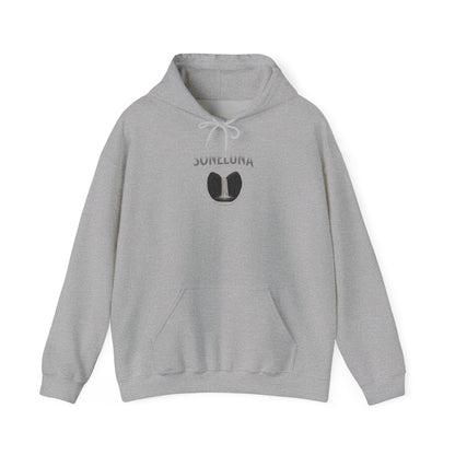 White Falls of Chiapas Hoodie