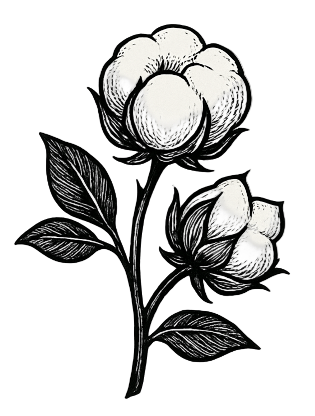 feature-item-1